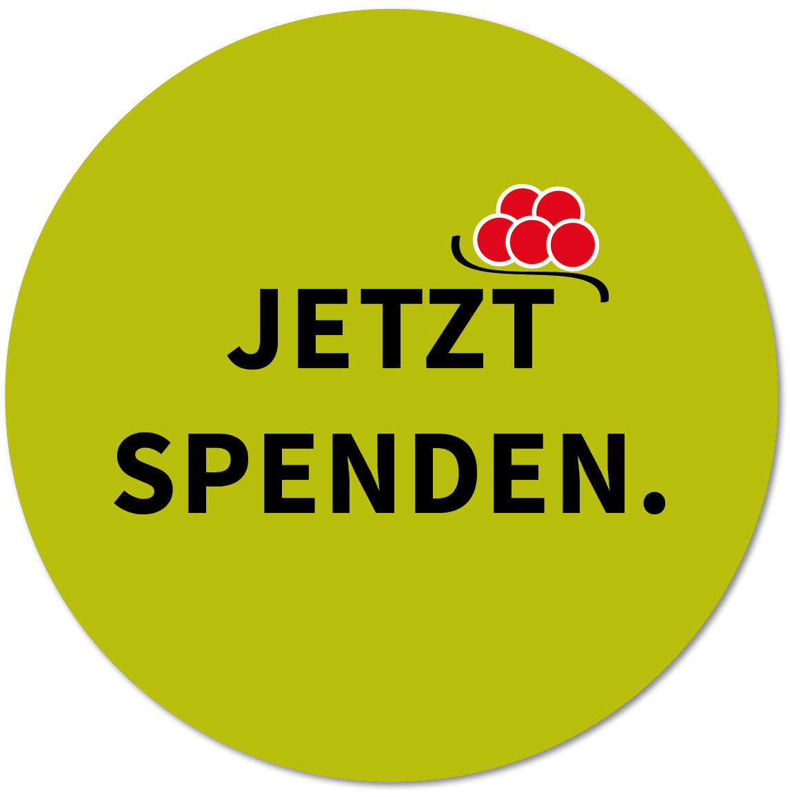 Unterstützen Sie unsere Region mit Spenden an die JULABO Stiftung!