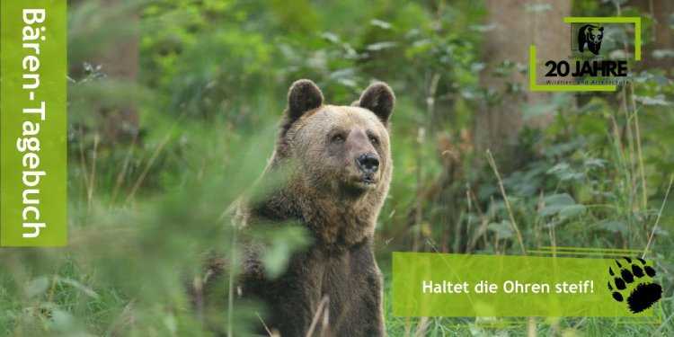 Wolf und Bärenpark Bad Rippoldsau-Schapbach
